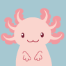 Axolotl