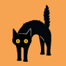 Sort kat