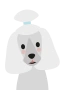 Puddel