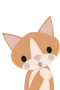Kat
