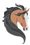 Hest