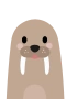Hvalros