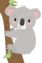 Koalabjørn