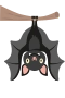 Flagermus