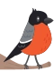 Dompap
