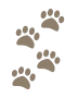 Hundespor