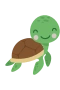 Skildpadde 