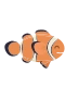 Klovnefisk 