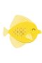Gul kirugfisk 