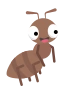 Myre