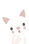 Hvid kat