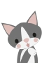Grå kat