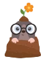 Muldvarp