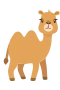 Kamel