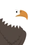 Ørn