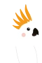 Kakadue