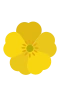 Smørblomst