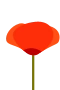 Valmue