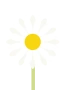 Margerit 
