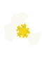 Jordbærblomst