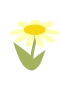 Gul blomst