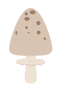 Svamp