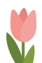 Lyserød tulipan 