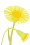 Følfod 