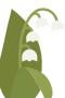 Liljekonval