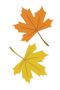 Efterårsblad