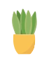 Potteplante