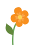 Orange blomst