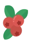 Tyttebær