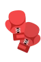 Boksehandsker 