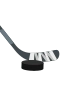 Ishockey 