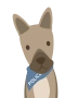 Politihund