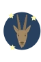 Stenbuk