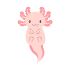 Axolotl