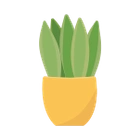 Potteplante