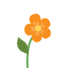 Orange blomst