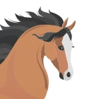 Hest