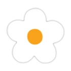 Hvid blomst